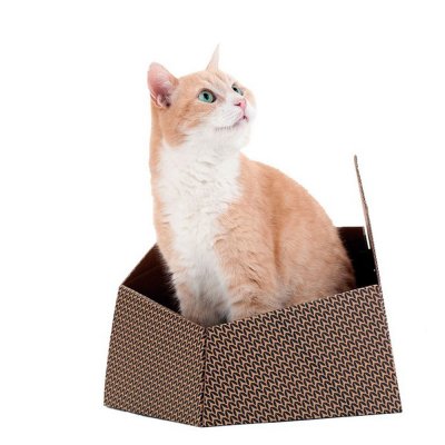 Kattleksaken United Pets Kitty Brun Papp (30 x 30 x 32 cm)