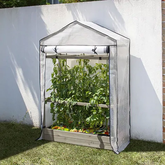 Tomatväxthus, askgrå
