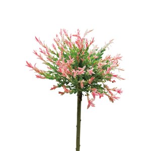 Eukalyptusvide 80-90 cm