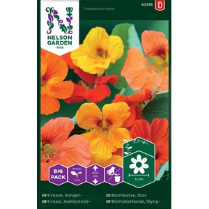 Fröer Nelson Garden Krasse Slinger-Mixfärg Big Pack