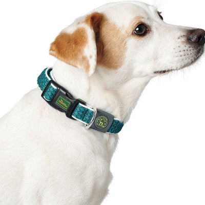 Hundhalsband Hunter Basic Tråd Brun Storlek M Brown (33-50 cm)