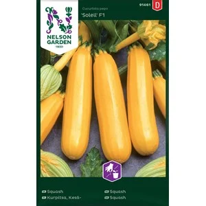 Fröer Nelson Garden Squash Soleil F1