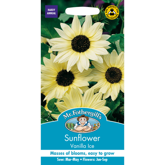 Solros 'Vanilla Ice'