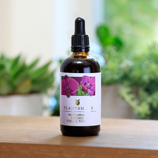 Orchid Feed and Tonic 100 ml