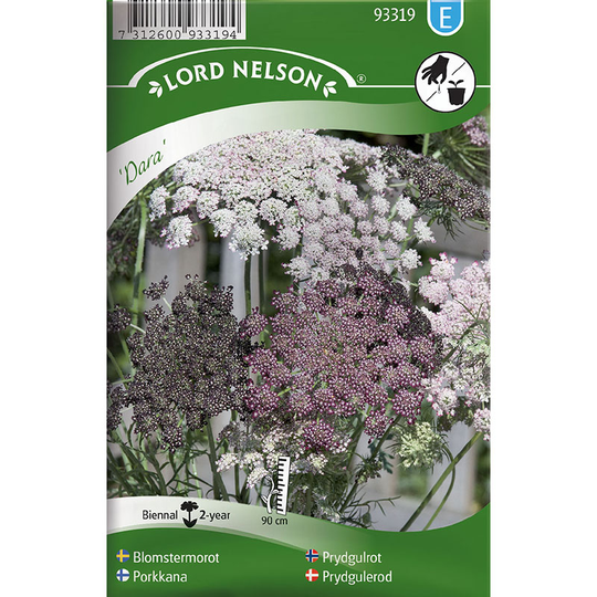 Blomstermorot 'Dara'