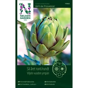 Fröer Nelson Garden Så Året Runt Kronärtskocka Vert de Provence