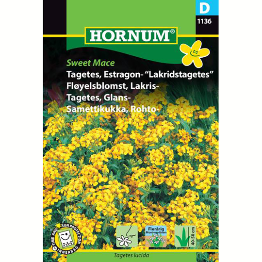 Lakritstagetes, Tagetes 'Sweet Mace'