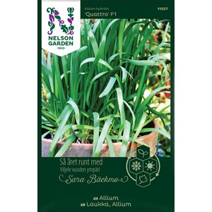 Fröer Nelson Garden Sara Bäckmo Allium Quattro F1