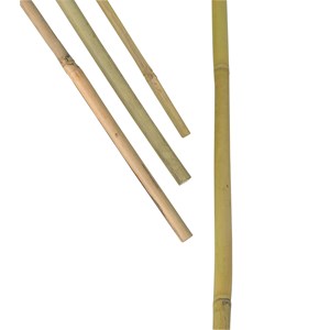 Bambukäpp Nelson Växtstöd 100 cm, 10-pack