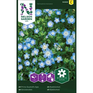 Fröer Nelson Garden Prins Gustafs Öga Ljusblå