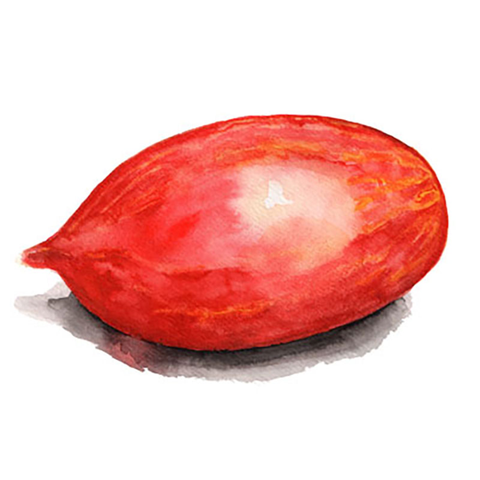 Tomat 'Marmorossa'