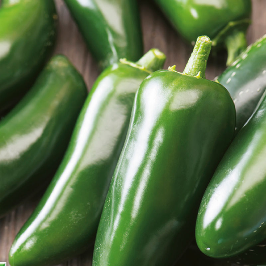 Chilipeppar (Hot) Jalapeno