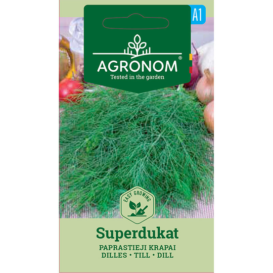 Dill 'Superdukat'