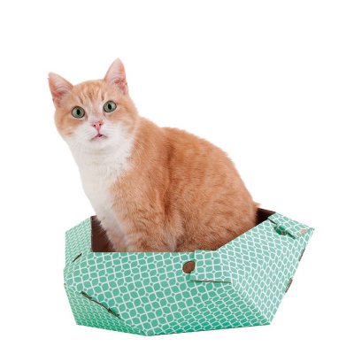 Kattleksaken United Pets Oliver Grön Papp (45 x 45 x 25 cm)