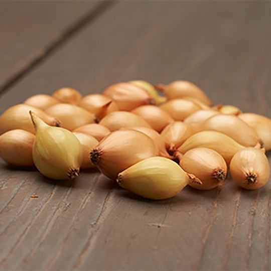 Sättlök 'Cupido', 250g