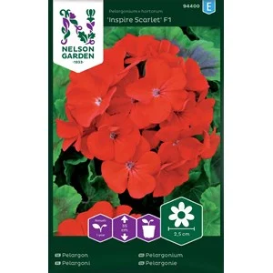 Fröer Nelson Garden Pelargon Inspire Scarlet F1