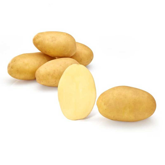 Octa, sättpotatis