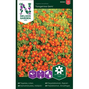 Fröer Nelson Garden Tagetes Tangerine Gem Liten