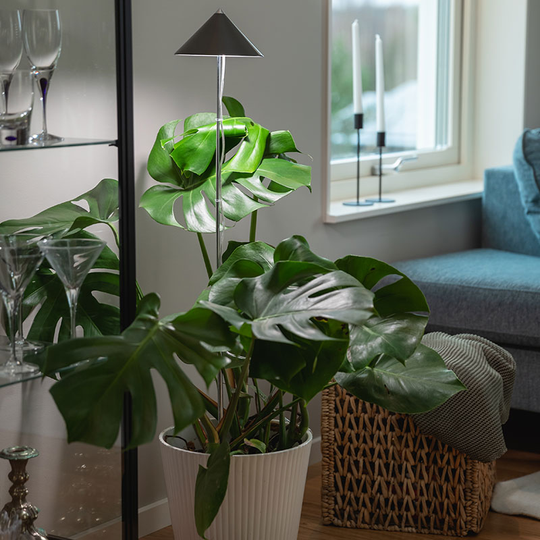 SunLite XL växtlampa med teleskopstativ, grå