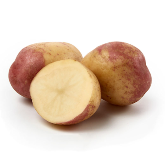 King Edward, sättpotatis