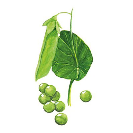 Märgärt 'Mors Stora'