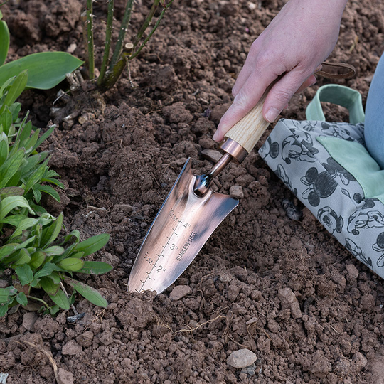 Planterspade, Mickey & Minnie kopparfinish