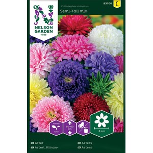 Fröer Nelson Garden Aster Dubbel Blandade färger