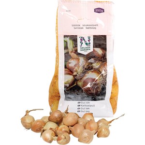 Sättlök Nelson gul, 250 g