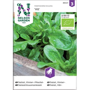 Fröer Nelson Garden Vintersallat Mache Vit