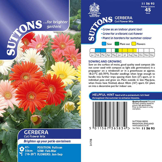Gerbera 'Cut Flower Mix'