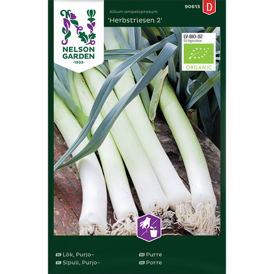 Purjolök 'Herbstriesen 2', ekologisk
