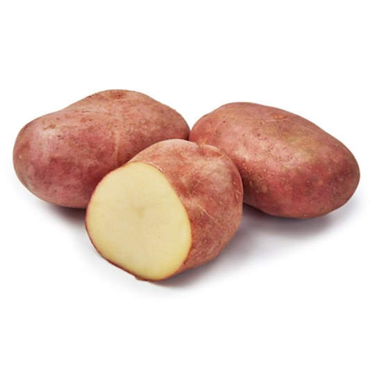 Yona, sättpotatis, Ekologisk