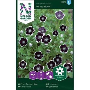 Frö Nelson Garden Prins Gustafs Öga Penny Black Svart
