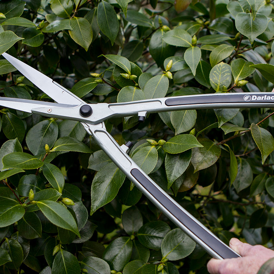 Häcksax, Lightweight Shear