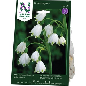 Höstlök Nelson Garden Sommarsnöklocka Vit