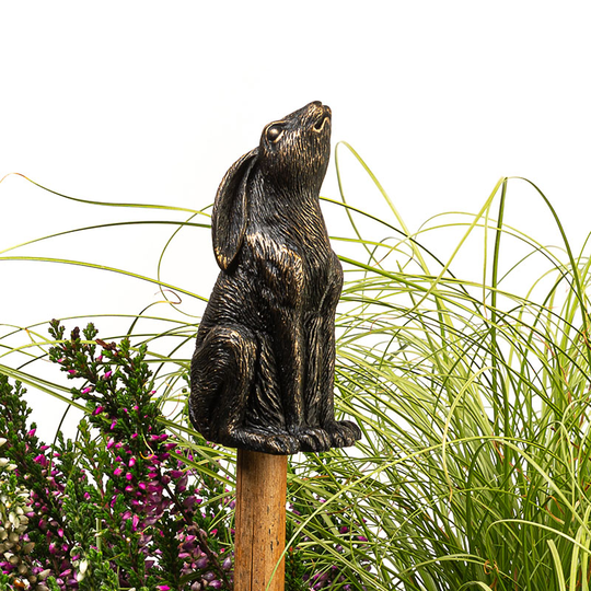 Trädgårdsknopp Hare