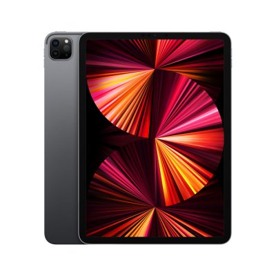 "Läsplatta Apple Pro 11"" Silvrig Grå 16 GB RAM"