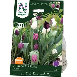 Höstlök Nelson Garden Tulpan/Fritillaria LM Chess