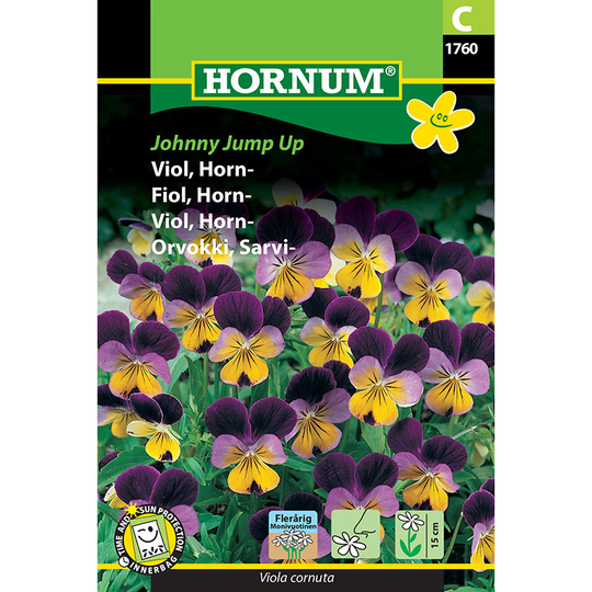 Hornviol 'Johnny Jump Up'