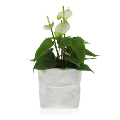 Kruka Versa Svart Keramik (16 x 16 x 16 cm)