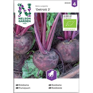 Fröer Nelson Garden Rödbeta Detroit 2 Rund