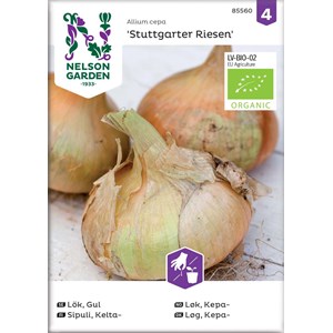 Fröer Nelson Garden Stuttgarter Riesen Gul lök