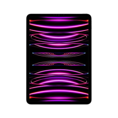 "Läsplatta Apple iPad Pro Grå 11"""