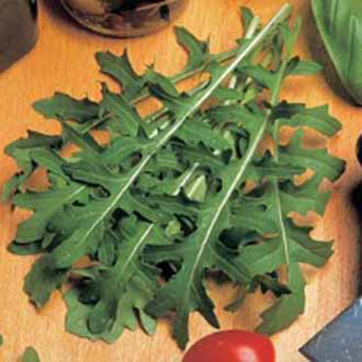 Rucola 'Runway'