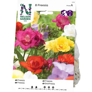 Vårlök Nelson Garden Freesia Dubbel, Blandade färger