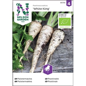 Fröer Nelson Garden Palsternacka White King