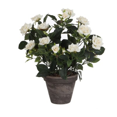 Dekorativ växt Mica Decorations Rosal Keramik PVC