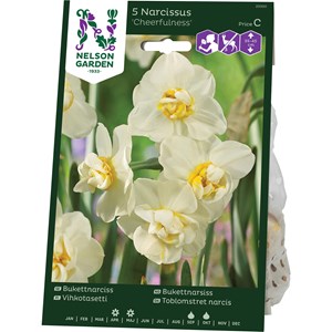 Höstlök Nelson Garden Bukettnarciss Cheerfulness Fylld Vit