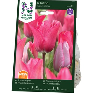 Höstlök Triumftulpan Nelson Garden Roussilion Rosa