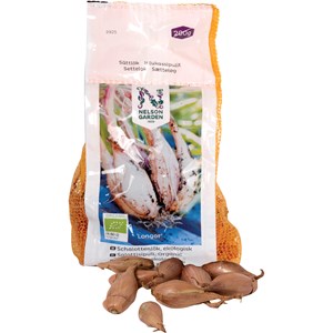 Sättlök Schalottenlök EKO Longor 200 g